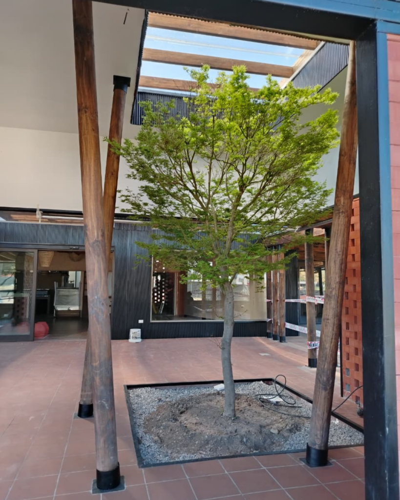 Texto del párrafo (6)